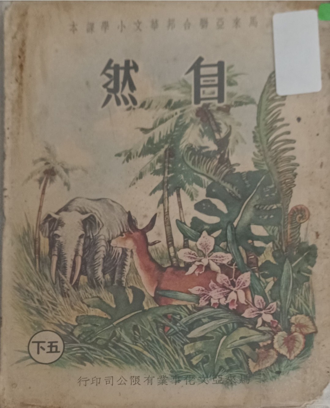 自然（五下）