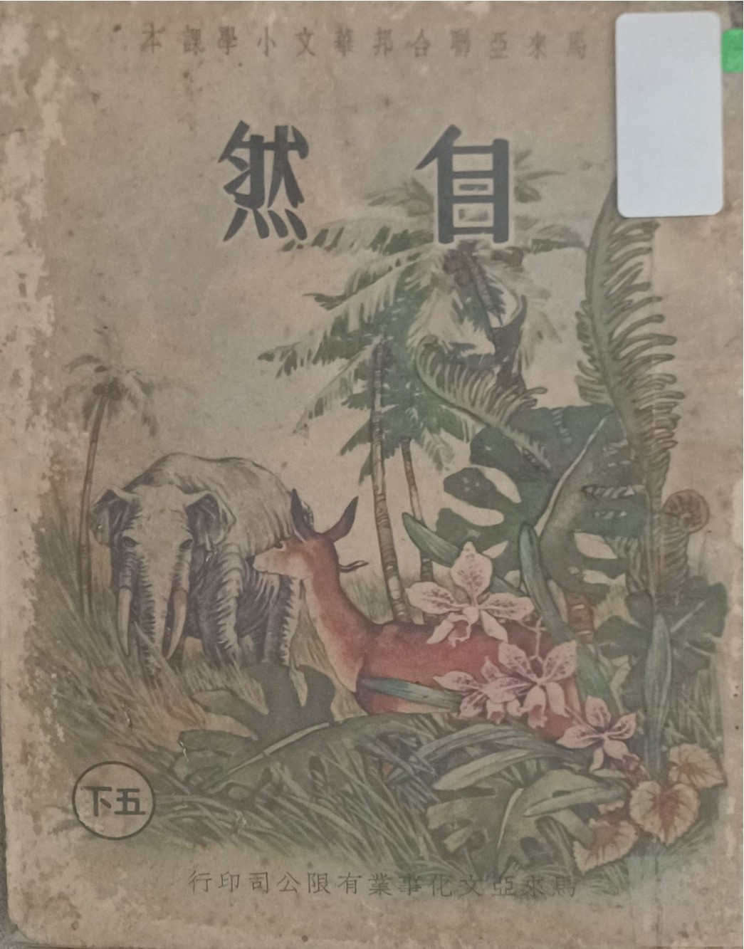 自然（五下）