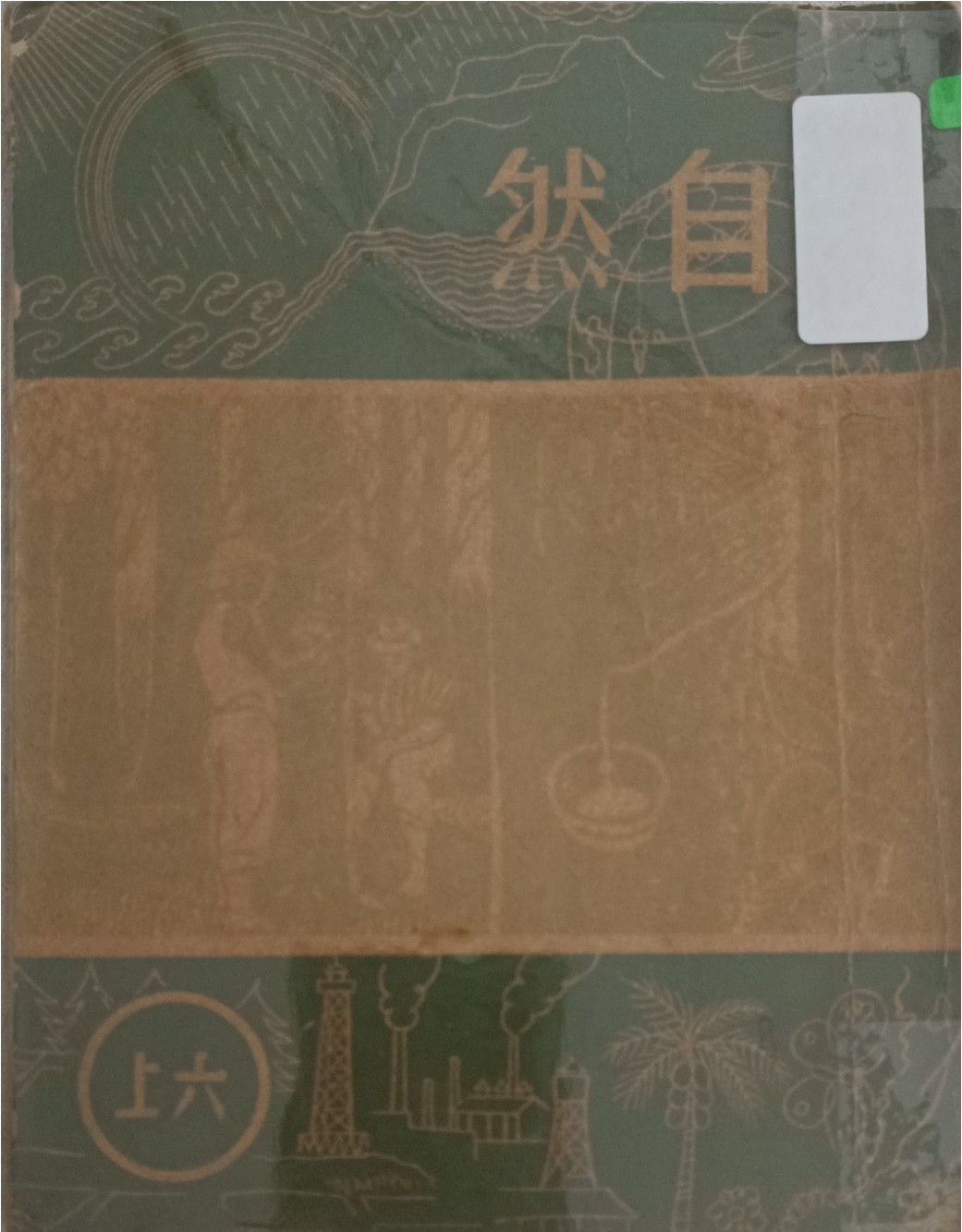 自然（六上）