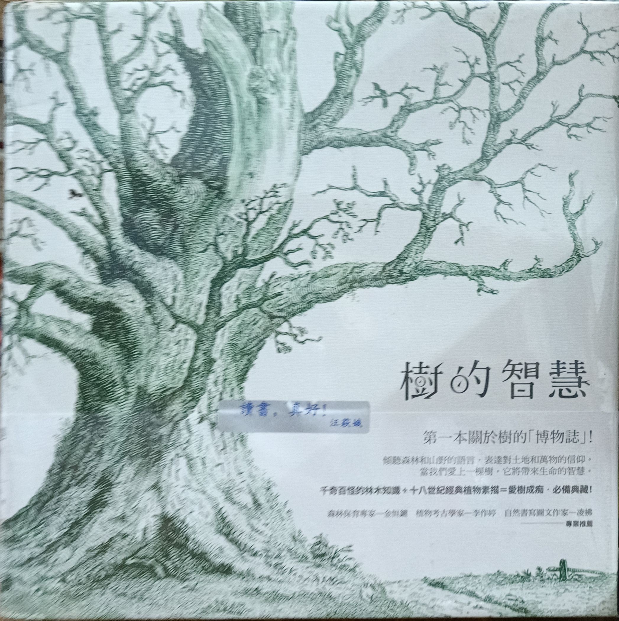 树的智慧