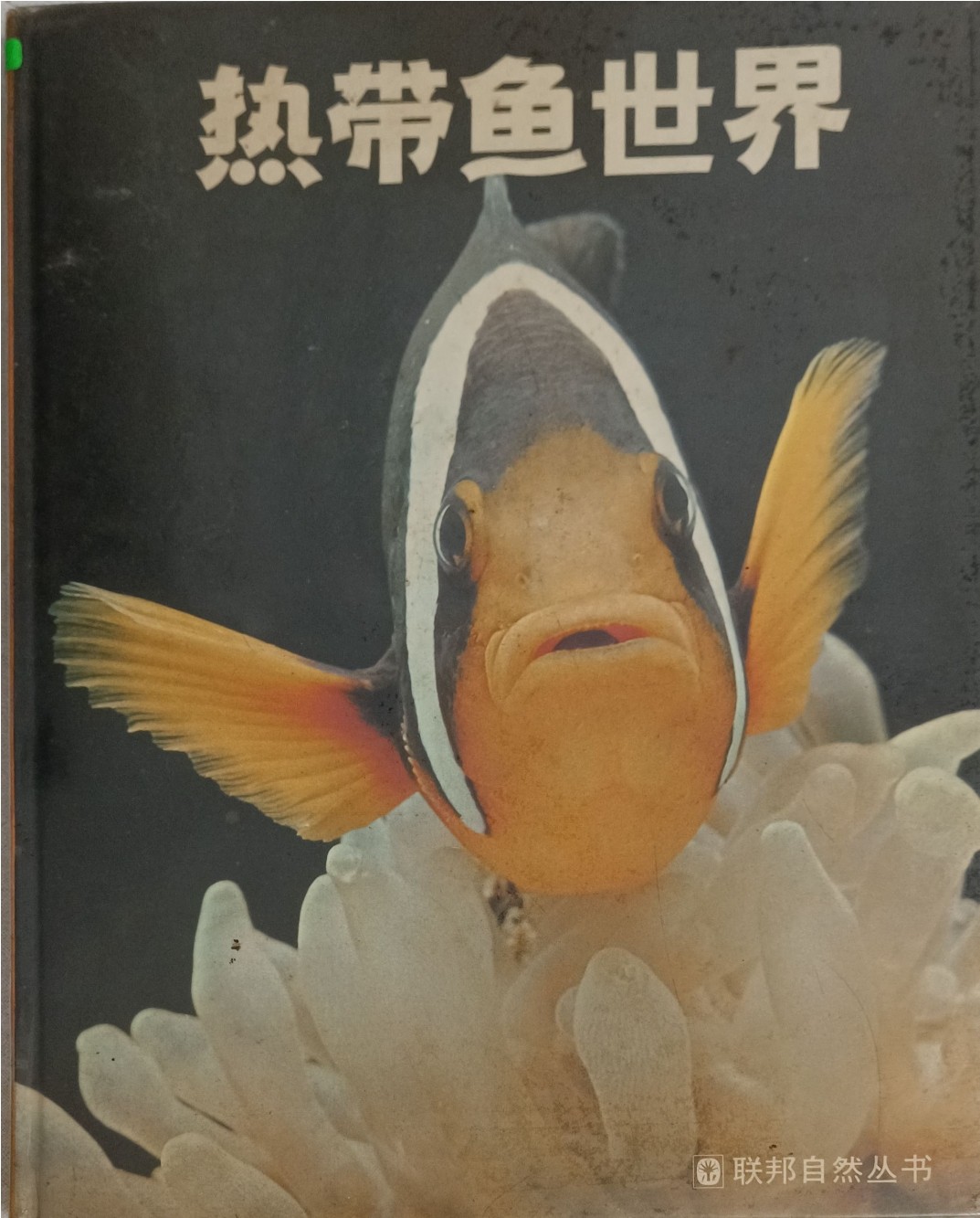 热带鱼世界