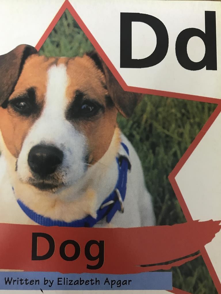 Dd Dog
