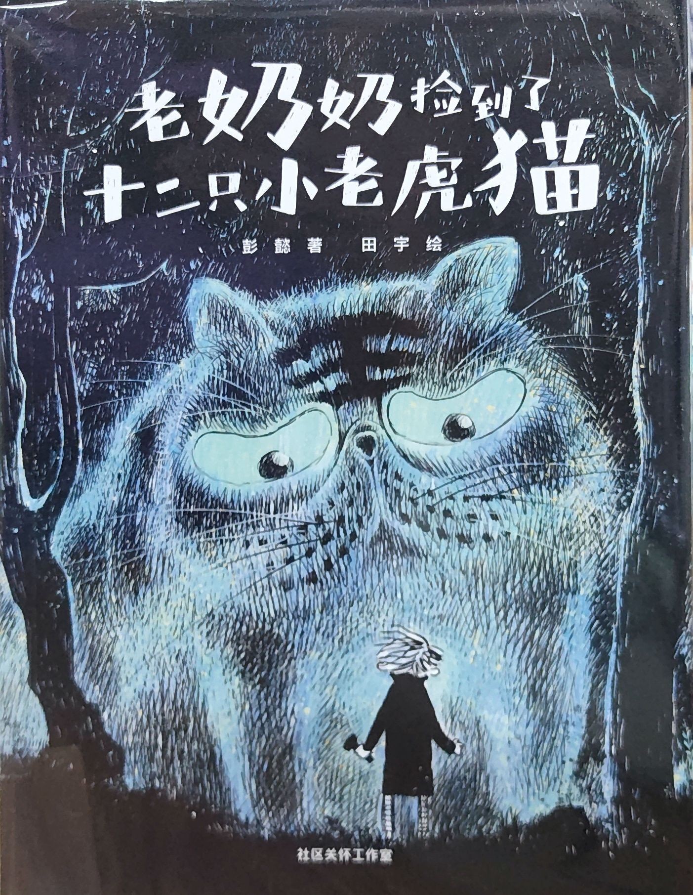 老奶奶捡到了十二只小老虎猫