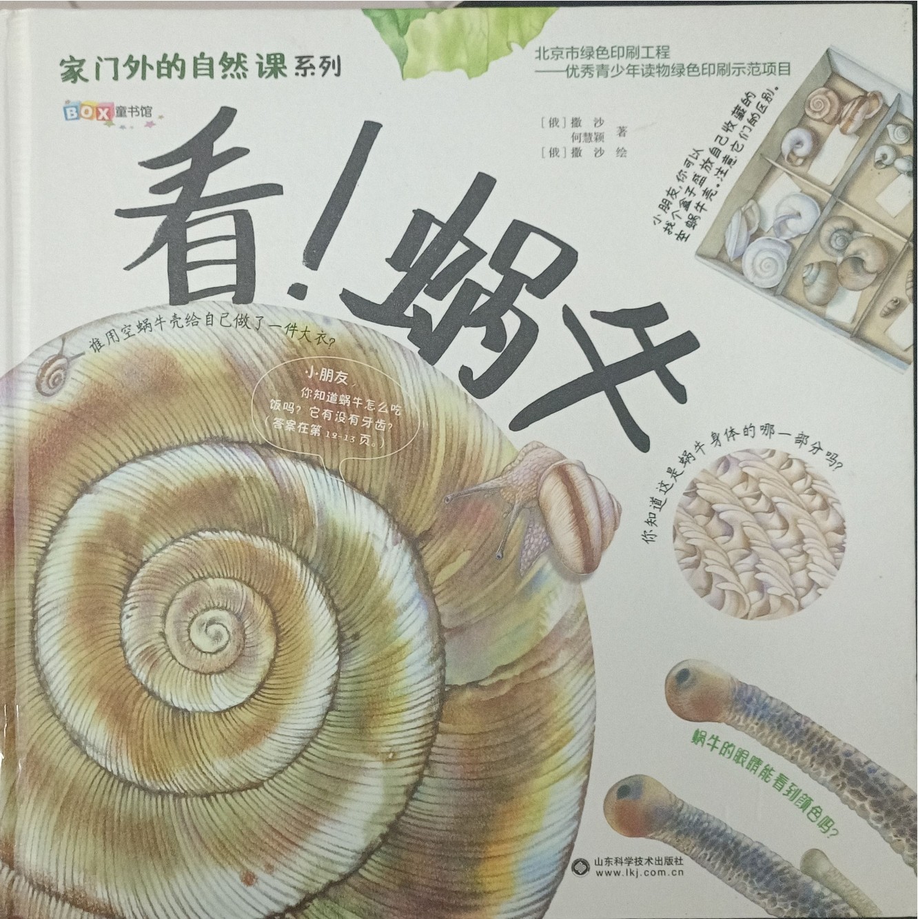 看！蜗牛