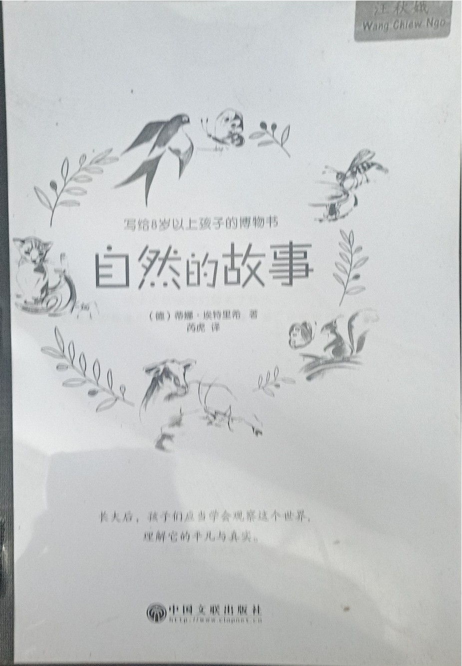 自然的故事