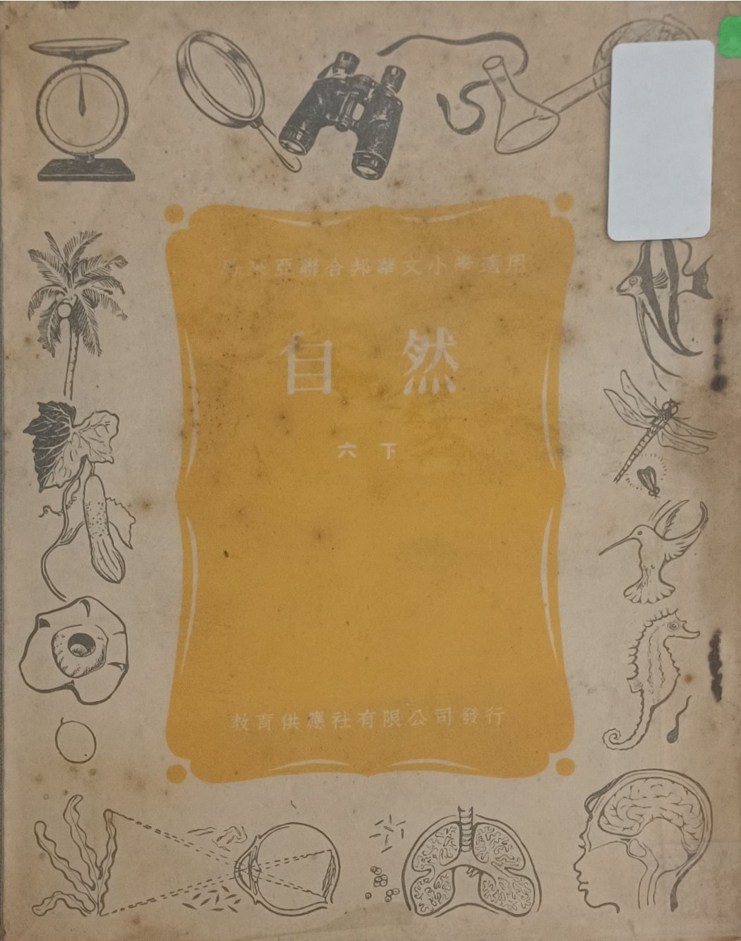 自然（六下）