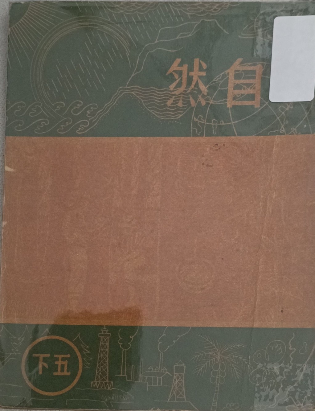 自然（五下）