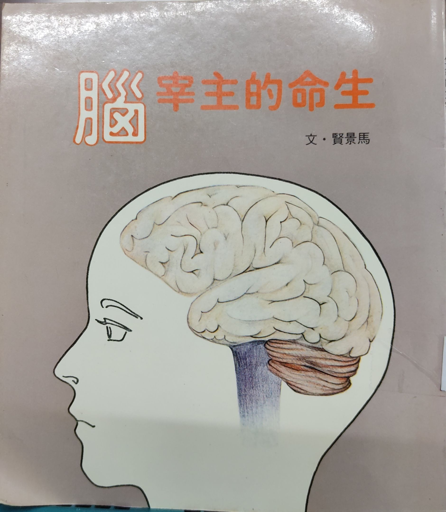 生命的主宰——脑