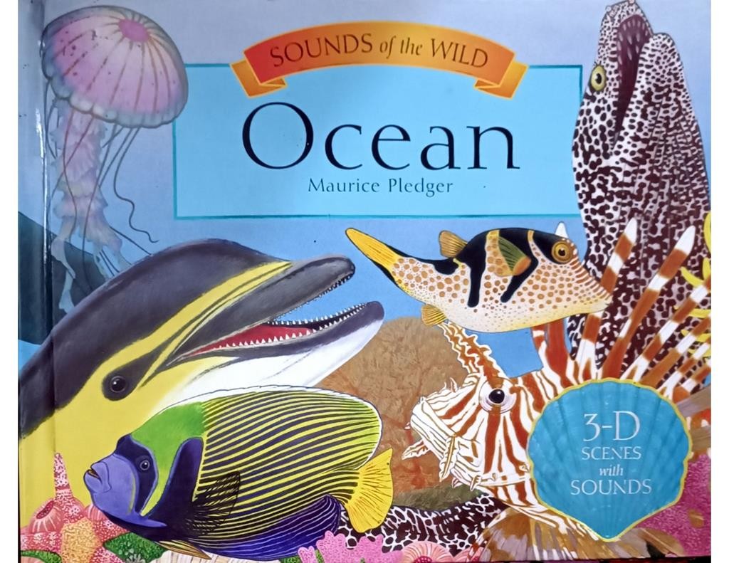 Ocean