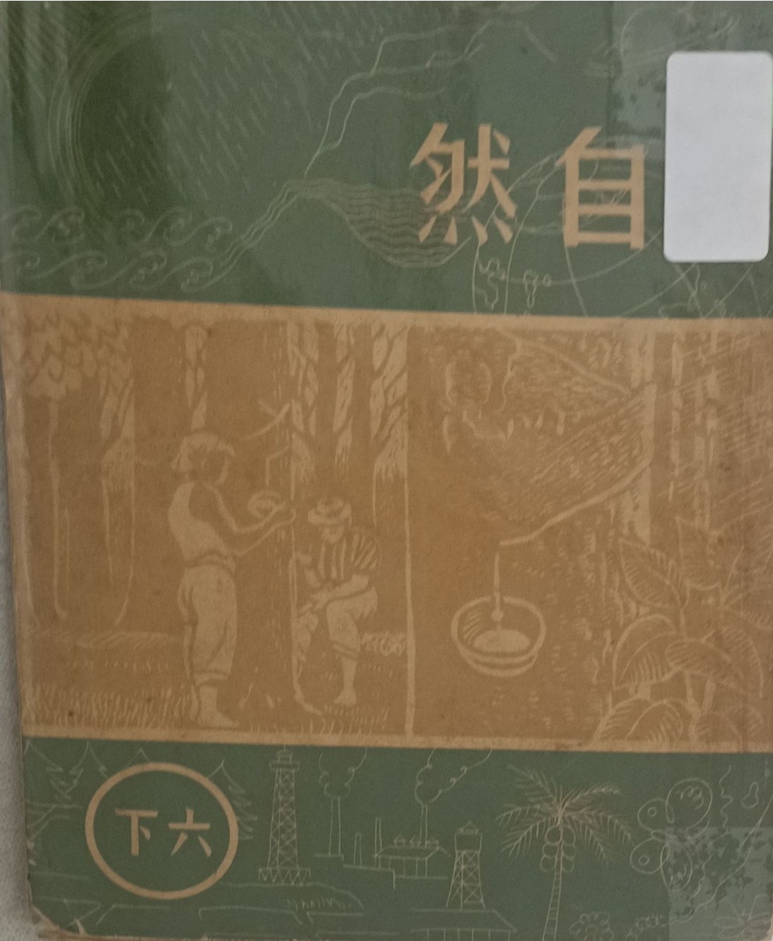自然（六下）