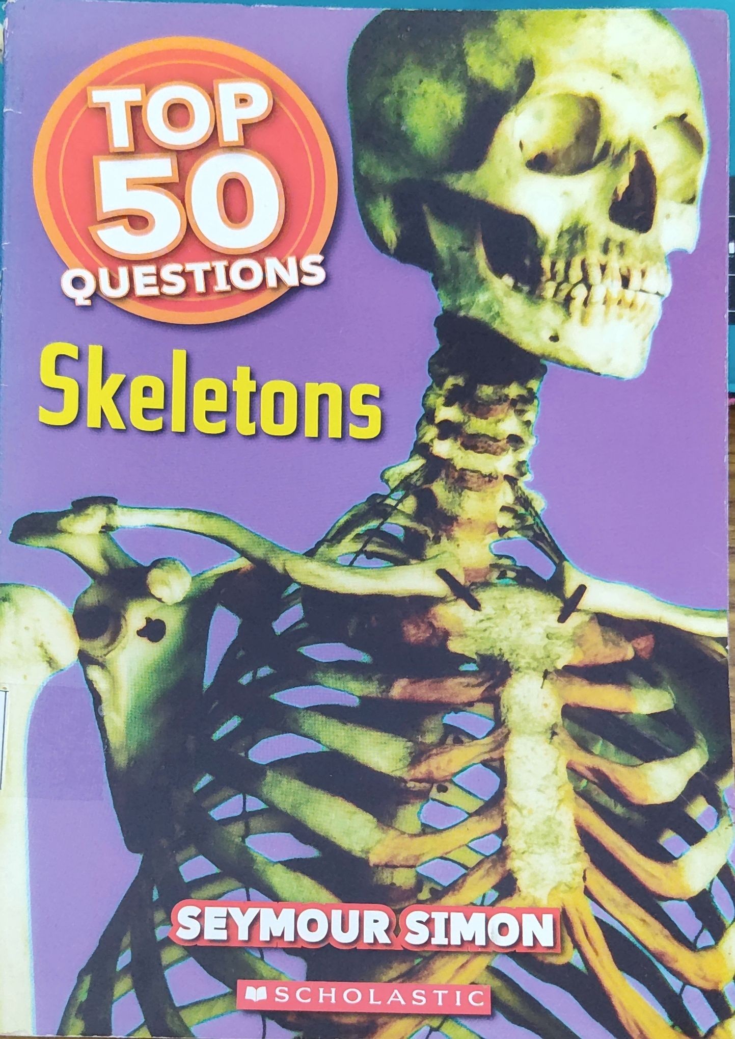 Top 50 Questions Skeletons