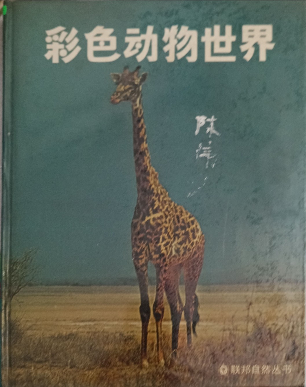 彩色动物世界