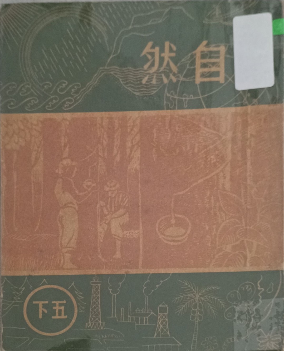 自然（五下）