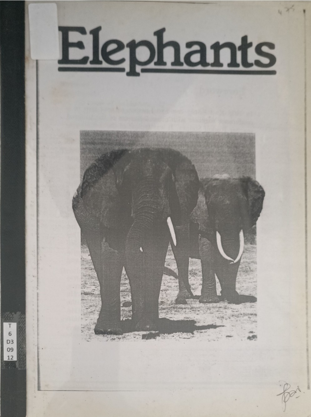 Elephants