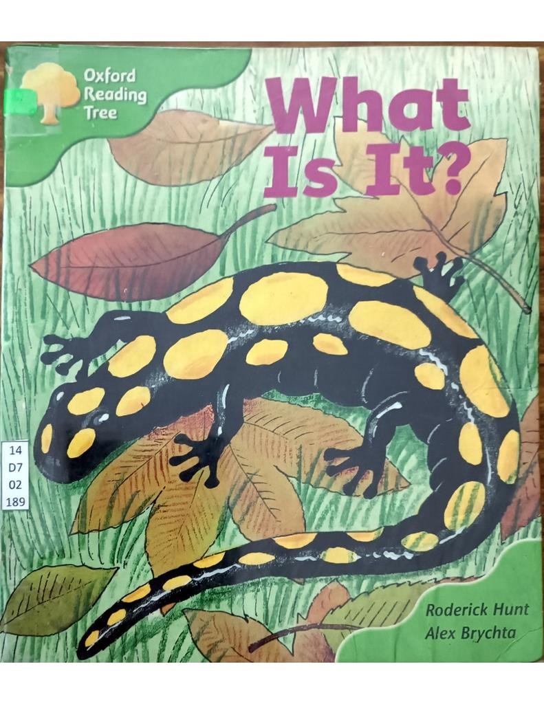 What Is It?