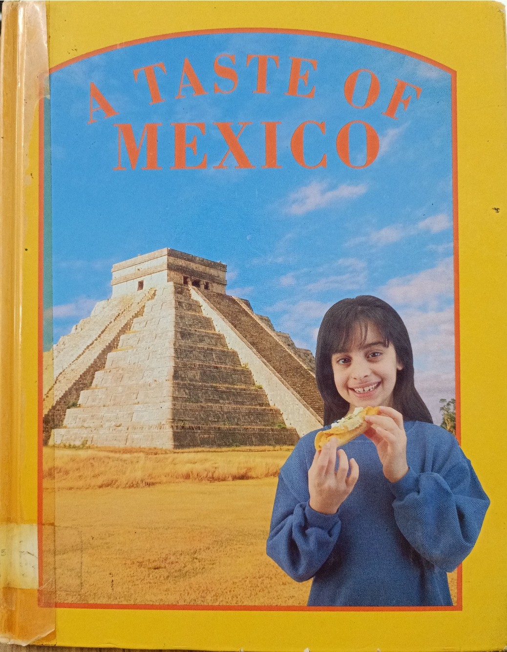 A Taste Of Mexico