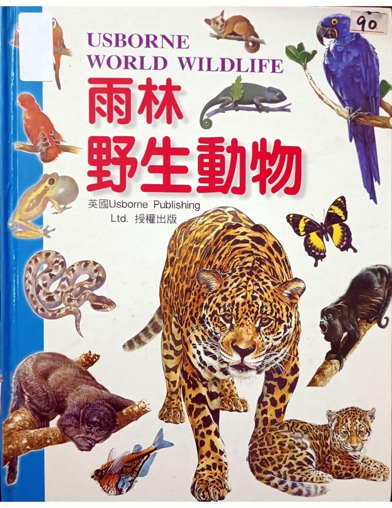 雨林野生动物