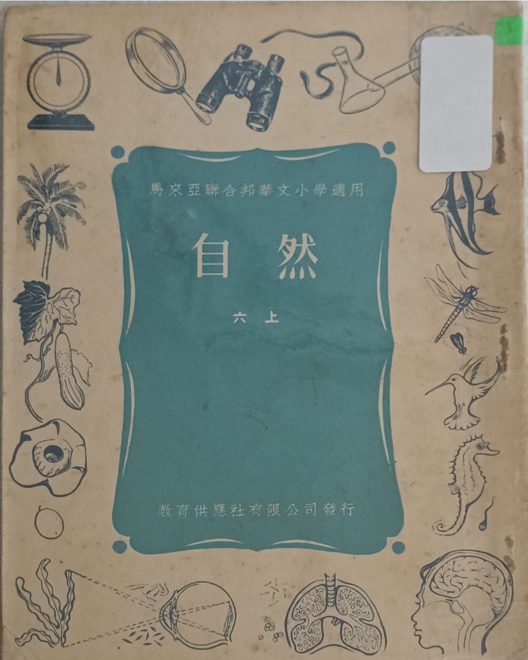 自然（六上）
