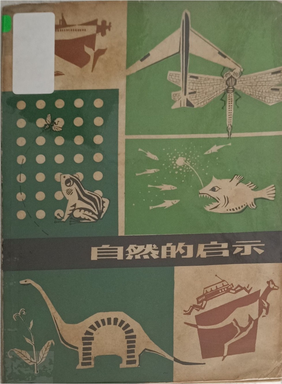 自然的启示