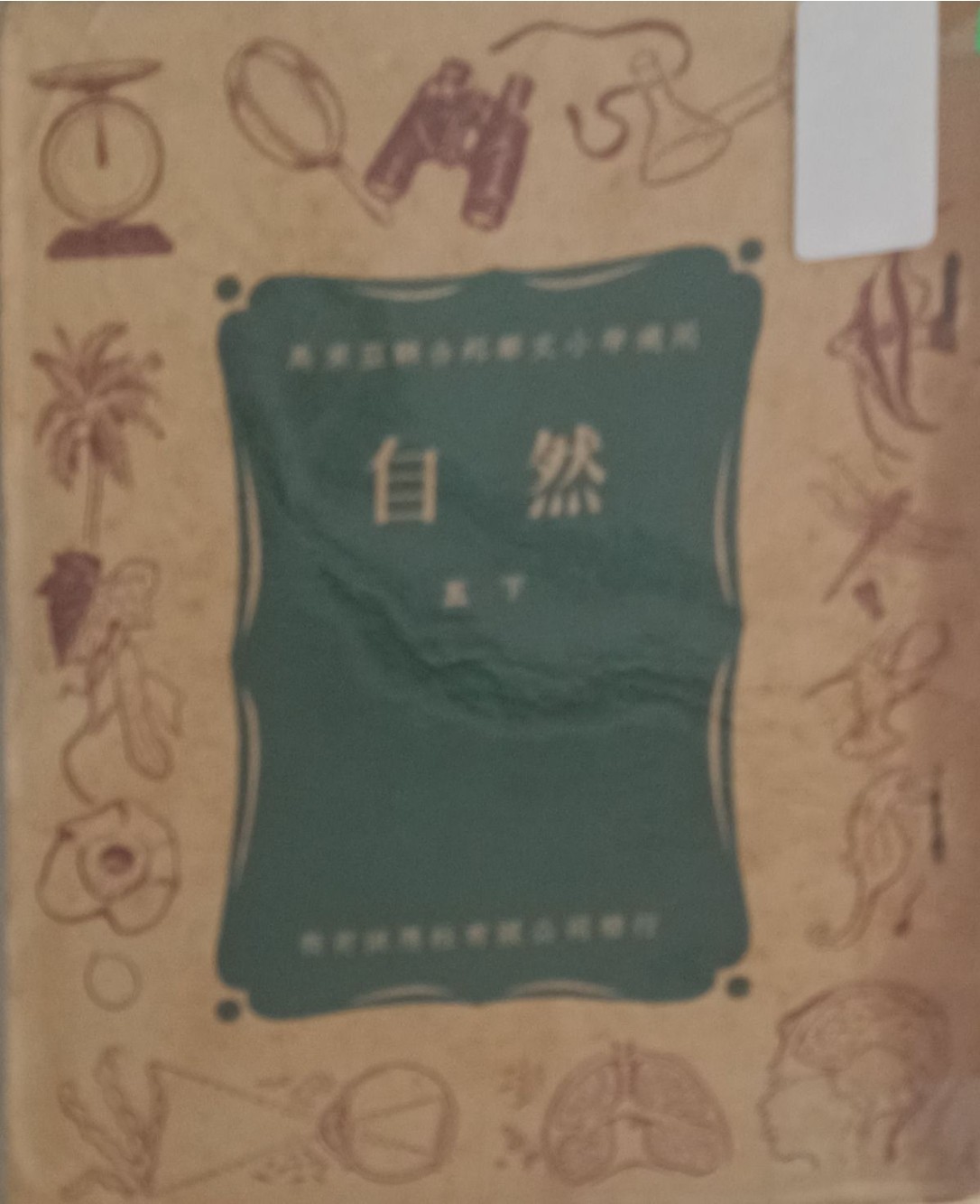 自然（五下）