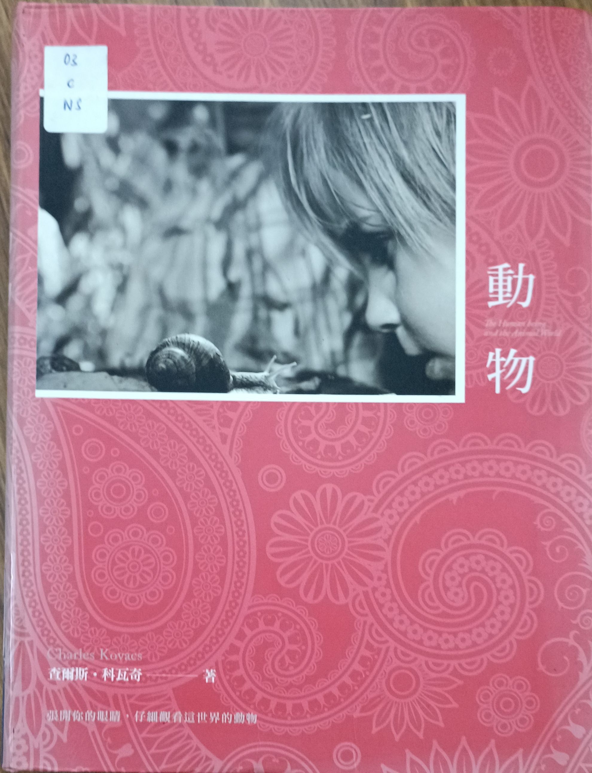 动物
