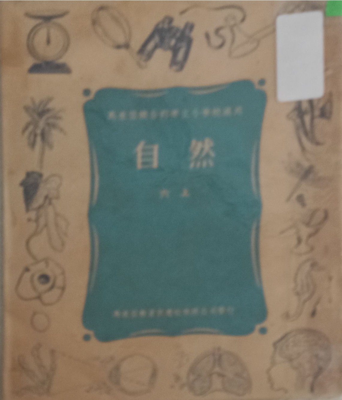 自然（六上）