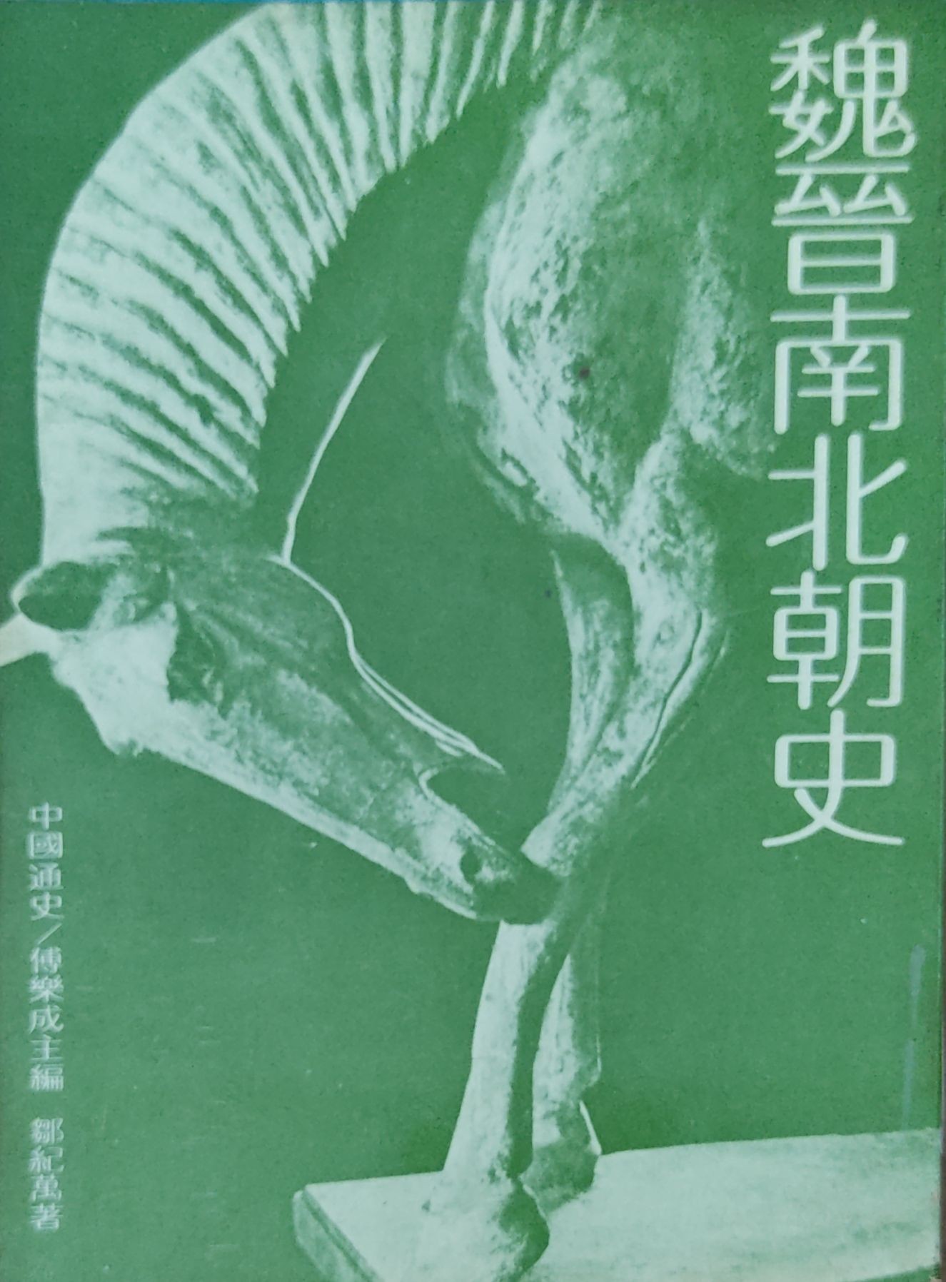 魏晋南北朝史