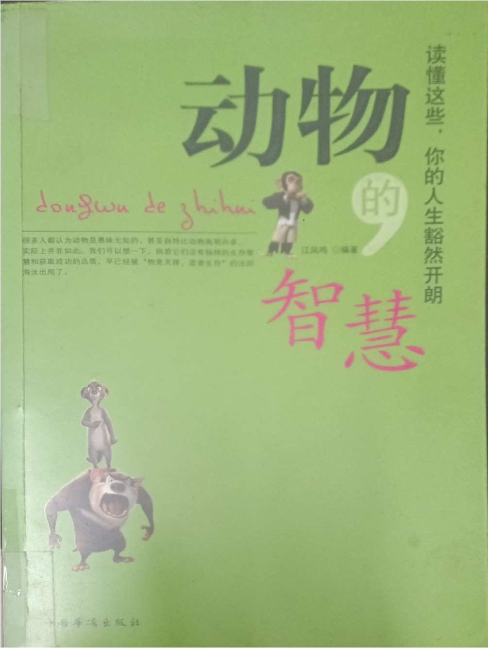 动物的智慧