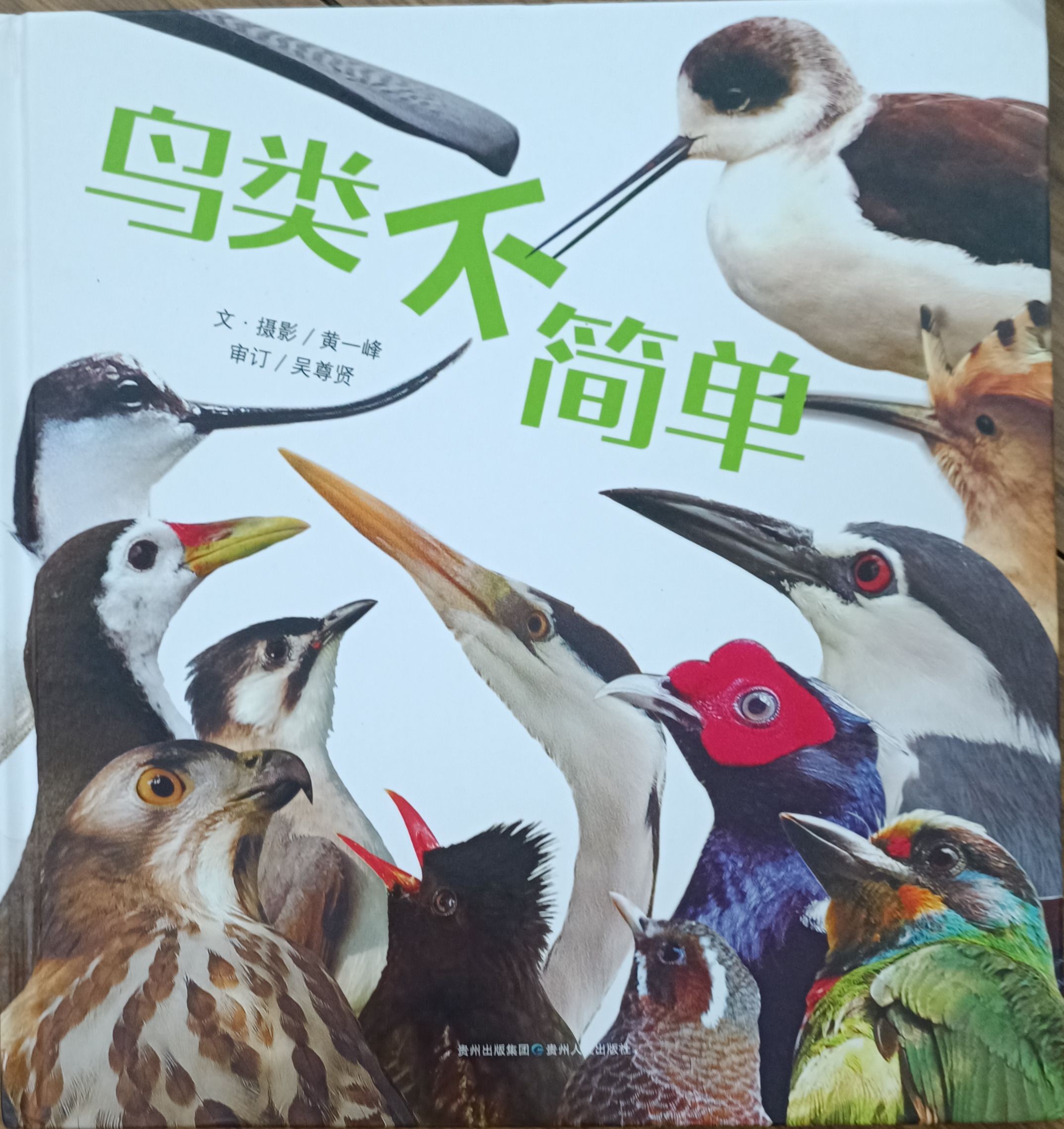 鸟类不简单