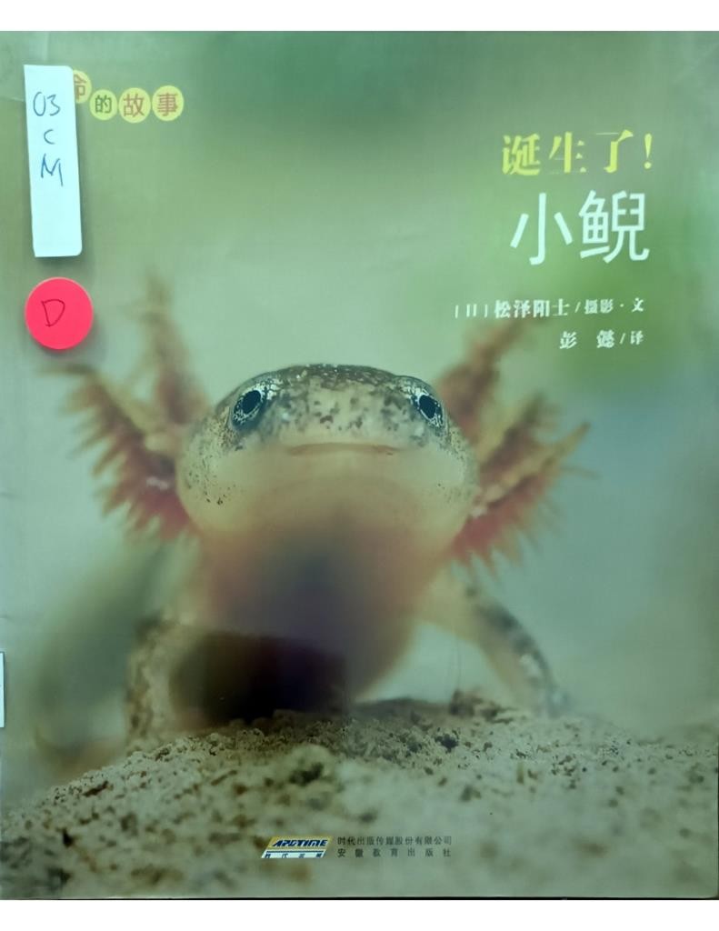 诞生了！小鲵